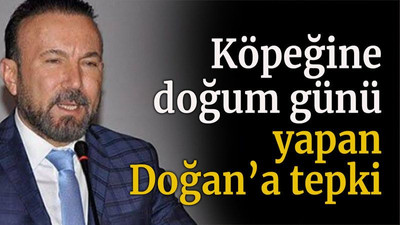 Köpeğine doğum günü yapan Doğan’a tepki